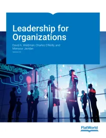 Leadership for Organizations v3.0